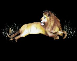 Jerry Lion