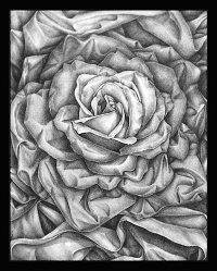 Fabric Rose
