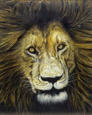 Lion Face