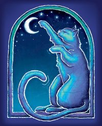 Moon Cat