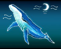 Whale